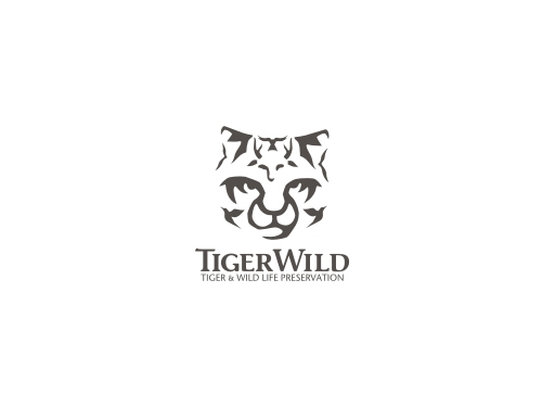 tiger wild